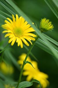 口臭対策に効果的なタブレットの人気商品は？