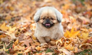 口臭専門クリニックでの診断と治療はどのようなものですか？