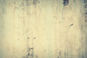 高齢者のための効果的な口臭対策とは？