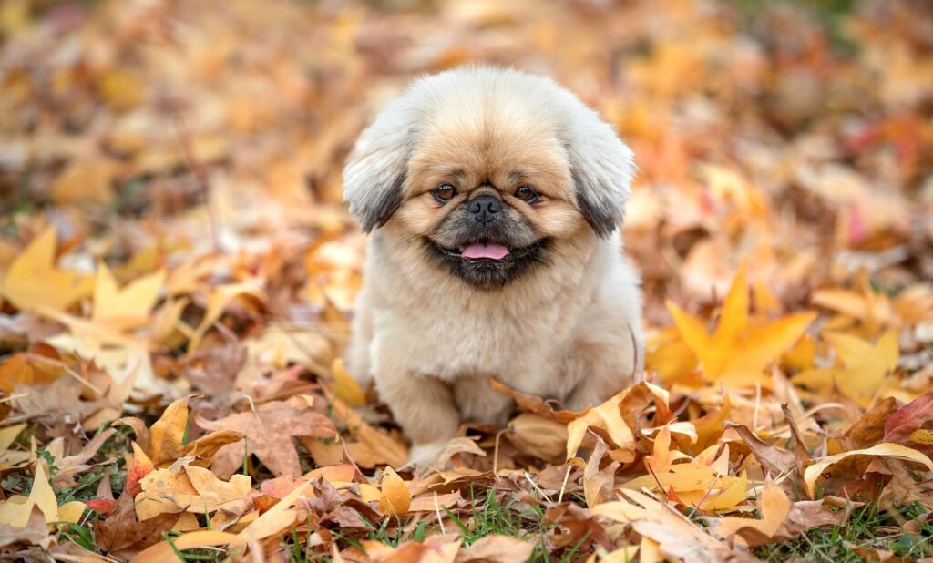 口臭予防に効果的なマウスウォッシュの選び方は？