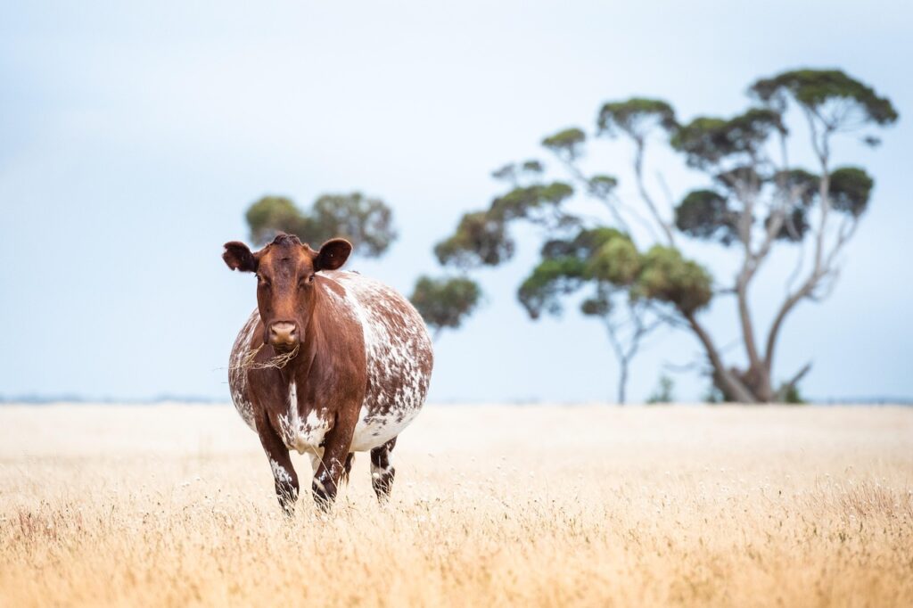 妊娠中の口臭を効果的に予防する方法は？