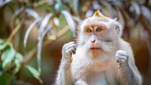 デンタルフロスを使った口臭改善の方法は？