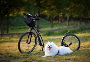 口臭対策が就職活動に与える影響とは？