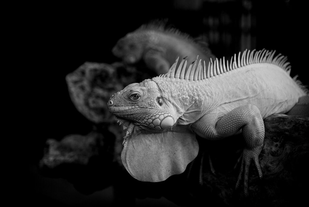 噛み合わせの問題が引き起こす口臭の症状とは？