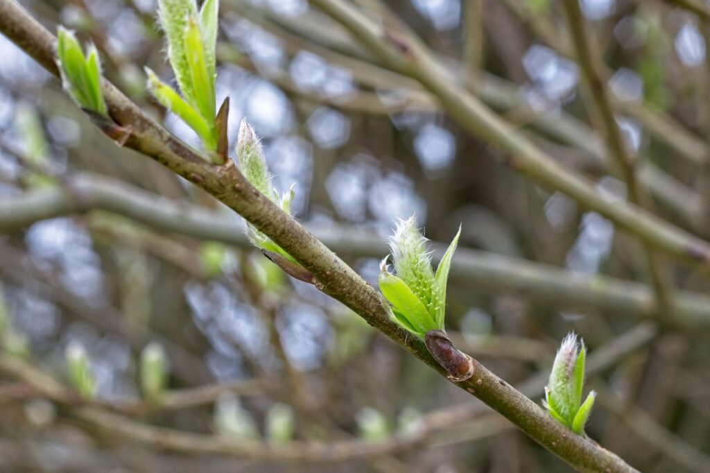 口臭の原因は歯周病？セルフチェックで確認する方法とは？
