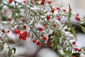 口臭を家族に言われた時の効果的な対策は？