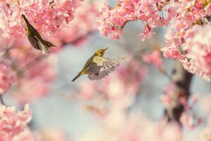断食中に口臭が気になる理由とは？