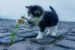 口臭をチェックする方法はこれで決まり？