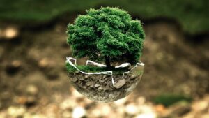 口臭と口内環境はなぜ重要なの？